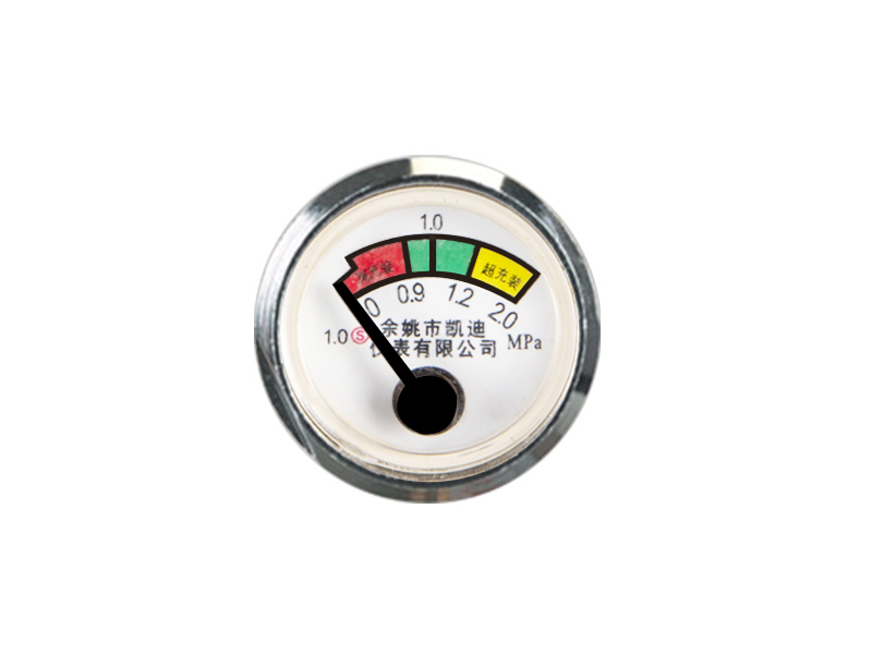 23MM SPRING PRESSURE GAUGE STAINLESS STEEL